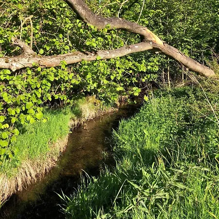 Σπίτι διακοπών 4 Person In Haderslev-by Traum