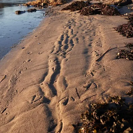 4 Person In Haderslev Diernæs