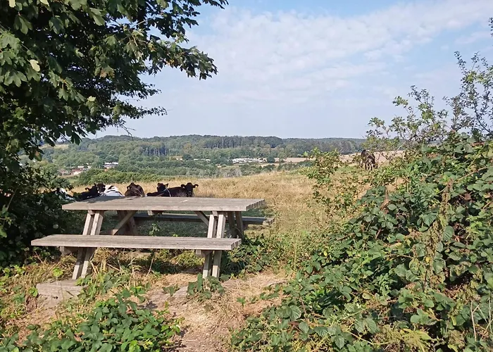 Feriehus 4 Person In Haderslev-by Traum