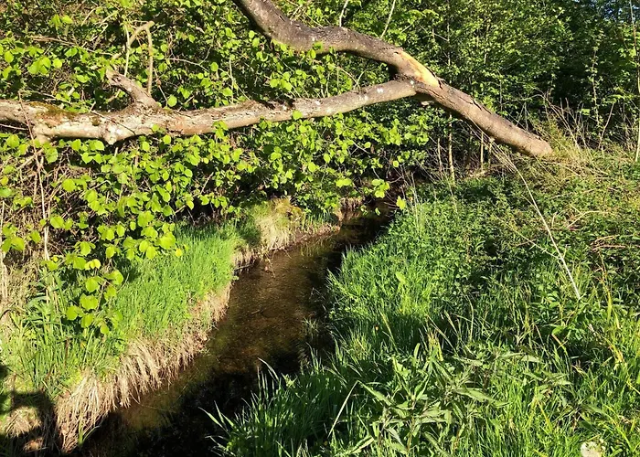 Feriehus 4 Person In Haderslev-by Traum