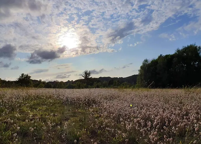Feriehus 4 Person In Haderslev-by Traum